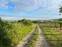 BA/RAČA - Investment or wine growing? Vineyard for sale