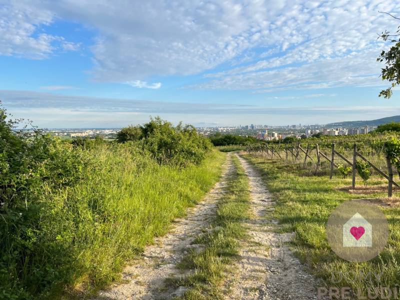 BA/RAČA - Investment or wine growing? Vineyard for sale