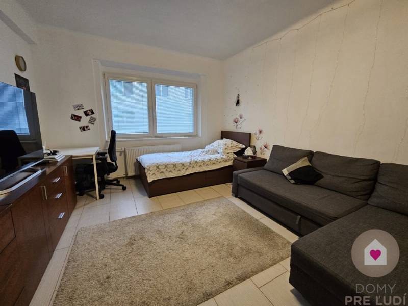 BA/RUŽINOV - Renovated 1-room apartment near Miletička for rent