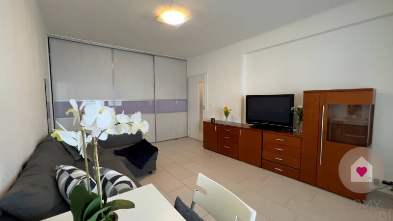 BA/RUŽINOV - Renovated 1-room apartment near Miletička for rent