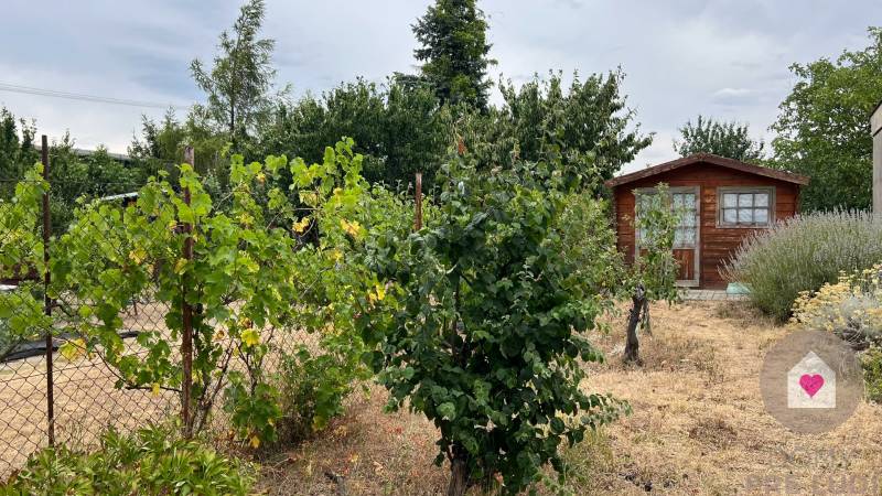 BA/JAROVCE- Garden for rent in the gardening area