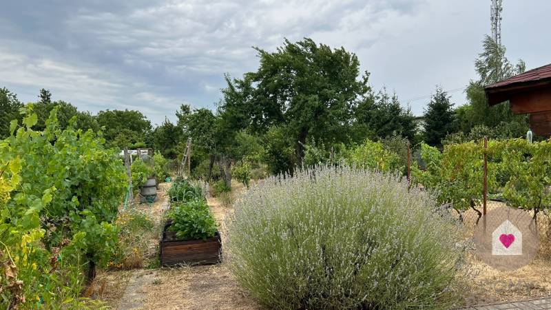 BA/JAROVCE- Garden for rent in the gardening area