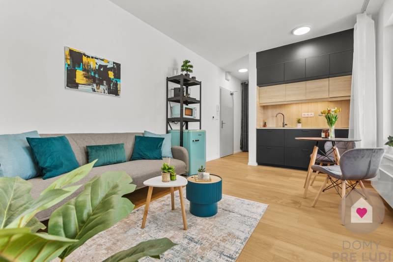 BA IV-Rent a modern furnished 1-room apartment in the new building 