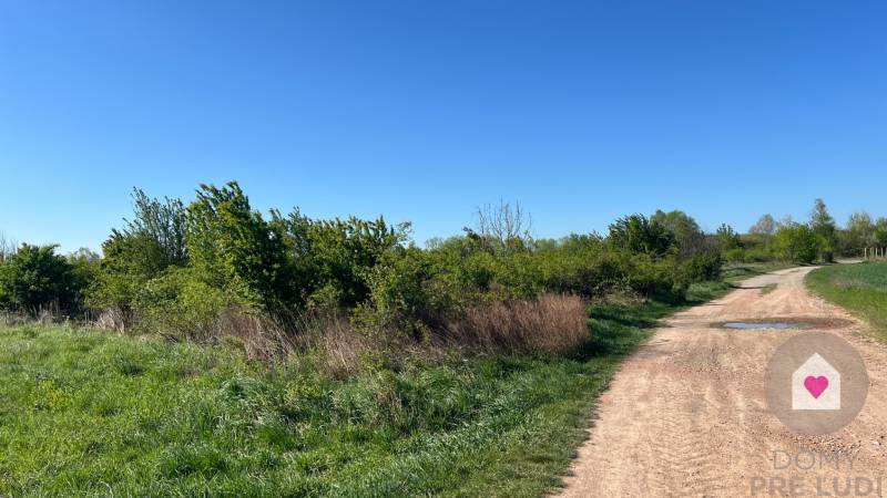 RECREATIONAL LAND IN VINOSADY – 1162 m² – INVESTMENT OPPORTUNITY