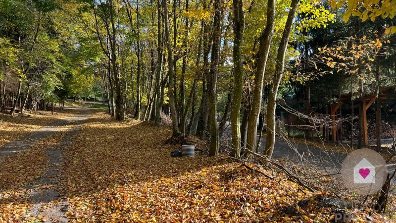 Sale Land – for living, Land – for living, Borinka, Malacky, Slovakia