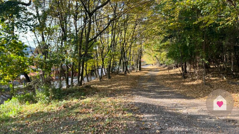Sale Land – for living, Land – for living, Borinka, Malacky, Slovakia