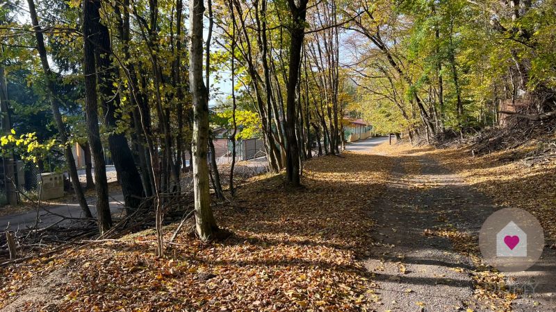 Sale Land – for living, Land – for living, Borinka, Malacky, Slovakia