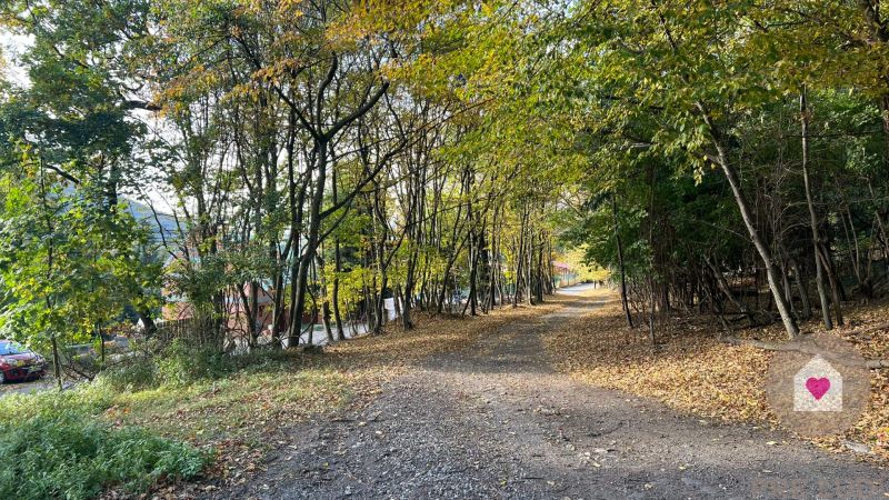 Sale Land – for living, Land – for living, Borinka, Malacky, Slovakia