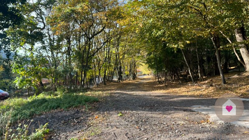 Sale Land – for living, Land – for living, Borinka, Malacky, Slovakia