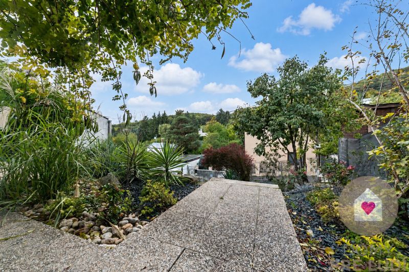 BA/Hi-Rent a completely renovated family house near the forest