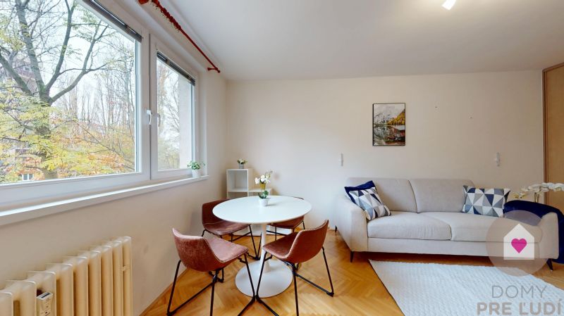 BA/RUŽINOV-Renting a 1-room apartment with a balcony and a cellar 